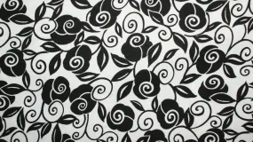 Brooke Floral Scroll in White/Black by Studio 8