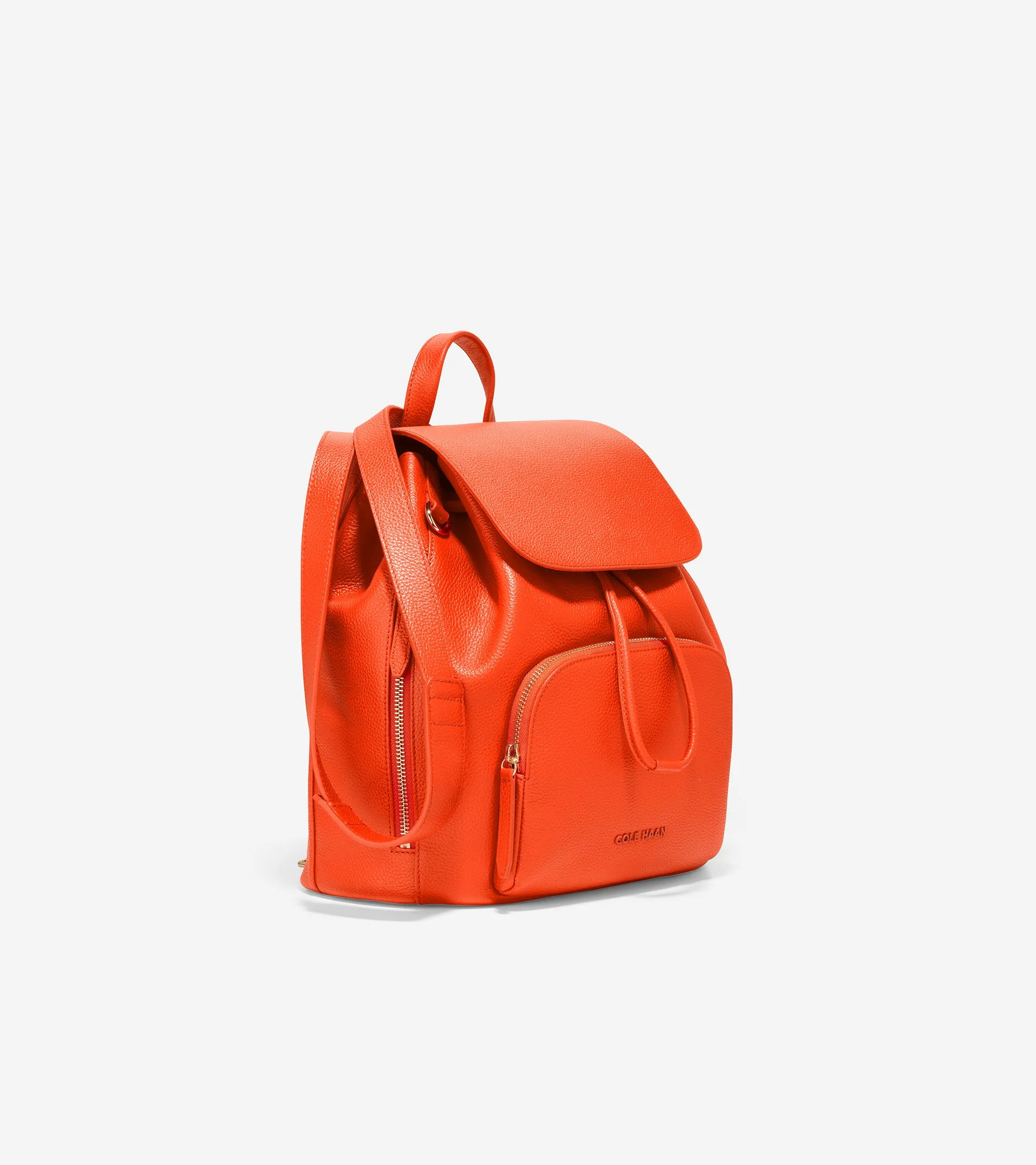 Classic Flap Backpack