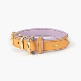 EzyDog Oxford Leather Dog Collar Blonde and Lilac Extra Extra Small