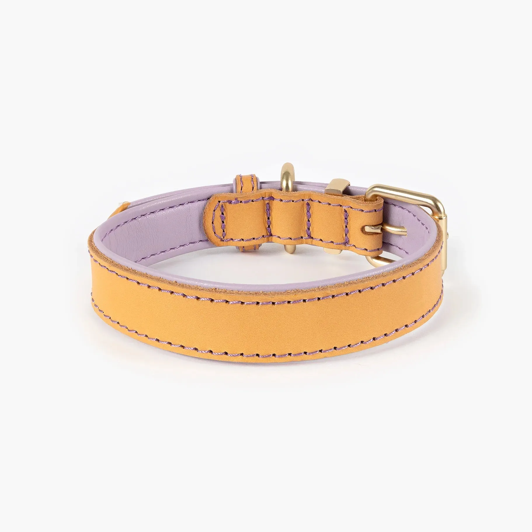 EzyDog Oxford Leather Dog Collar Blonde and Lilac Extra Extra Small